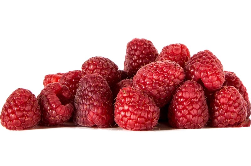 Bear Lake Raspberry Days Photo