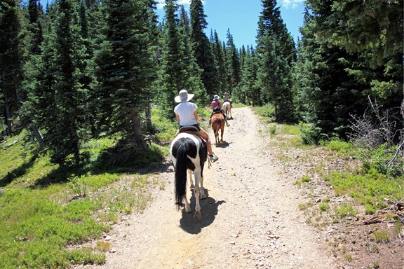 Horseback Riding
