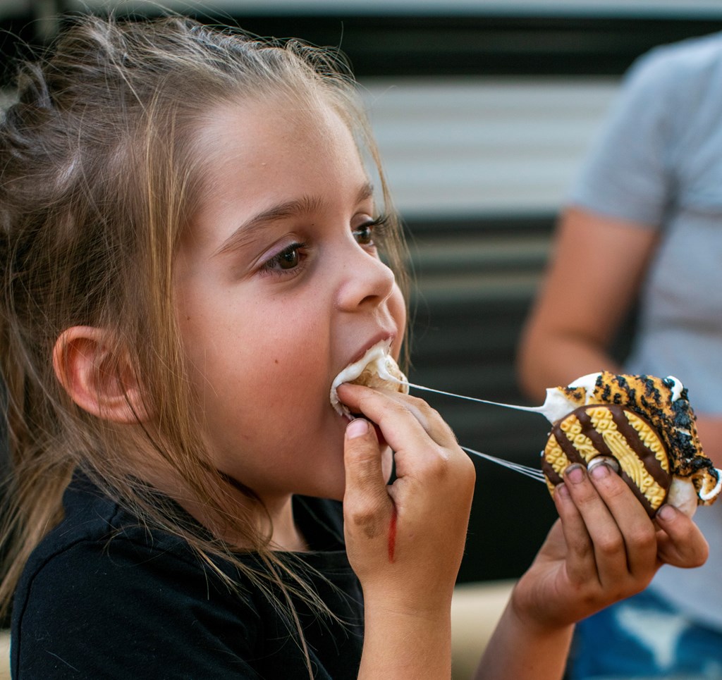 12 Mouthwatering S'mores Recipes You Need to Try!