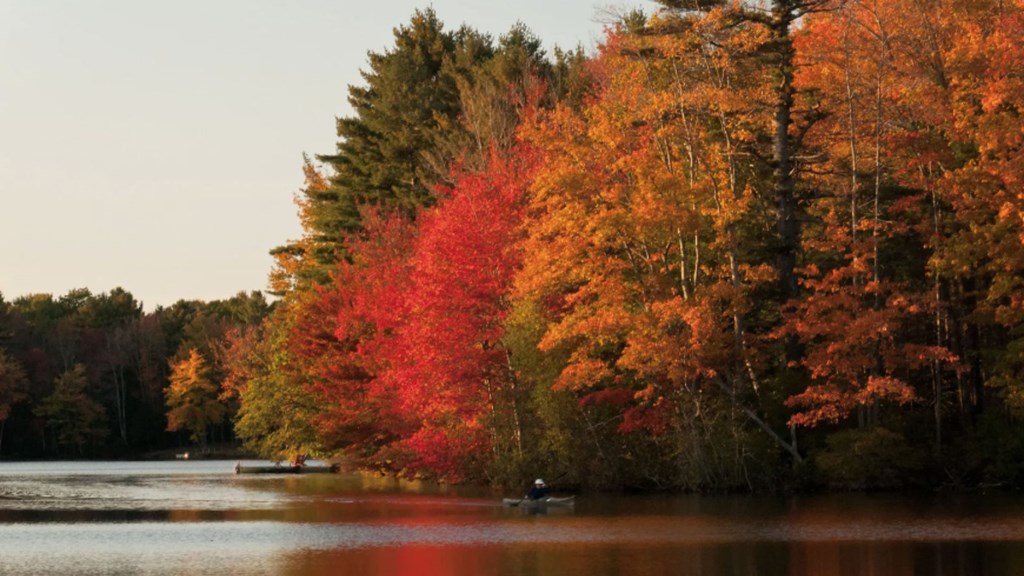 Fall Colors at Bear Lake