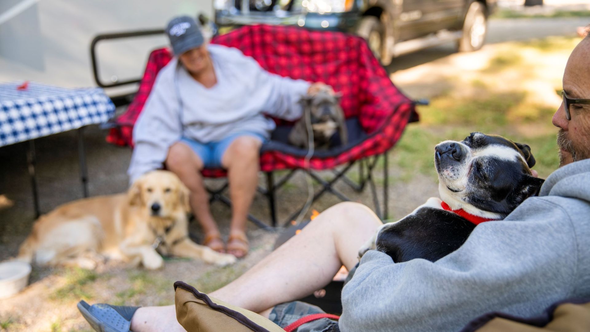 RV - Pet Friendly