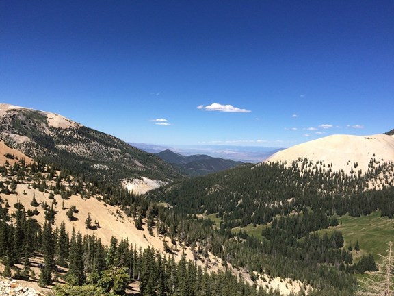 Beaver Canyon Scenic Byways