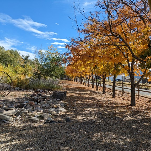 Scenic Nature Trail Walk