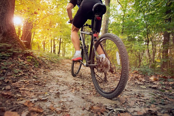 Mountain Bike and Hiking Trails
