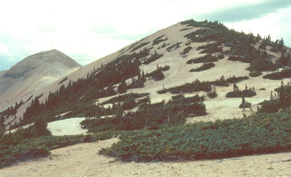 TUSHAR MOUNTAINS
