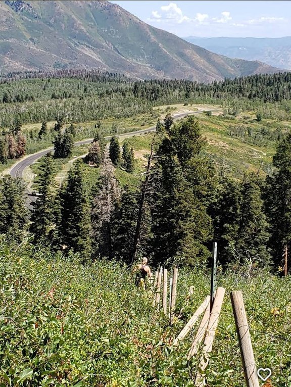 Beaver Canyon Scenic Byway