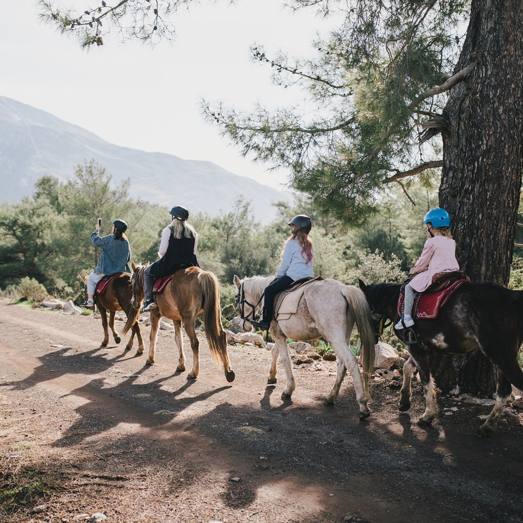 Horseback riding
