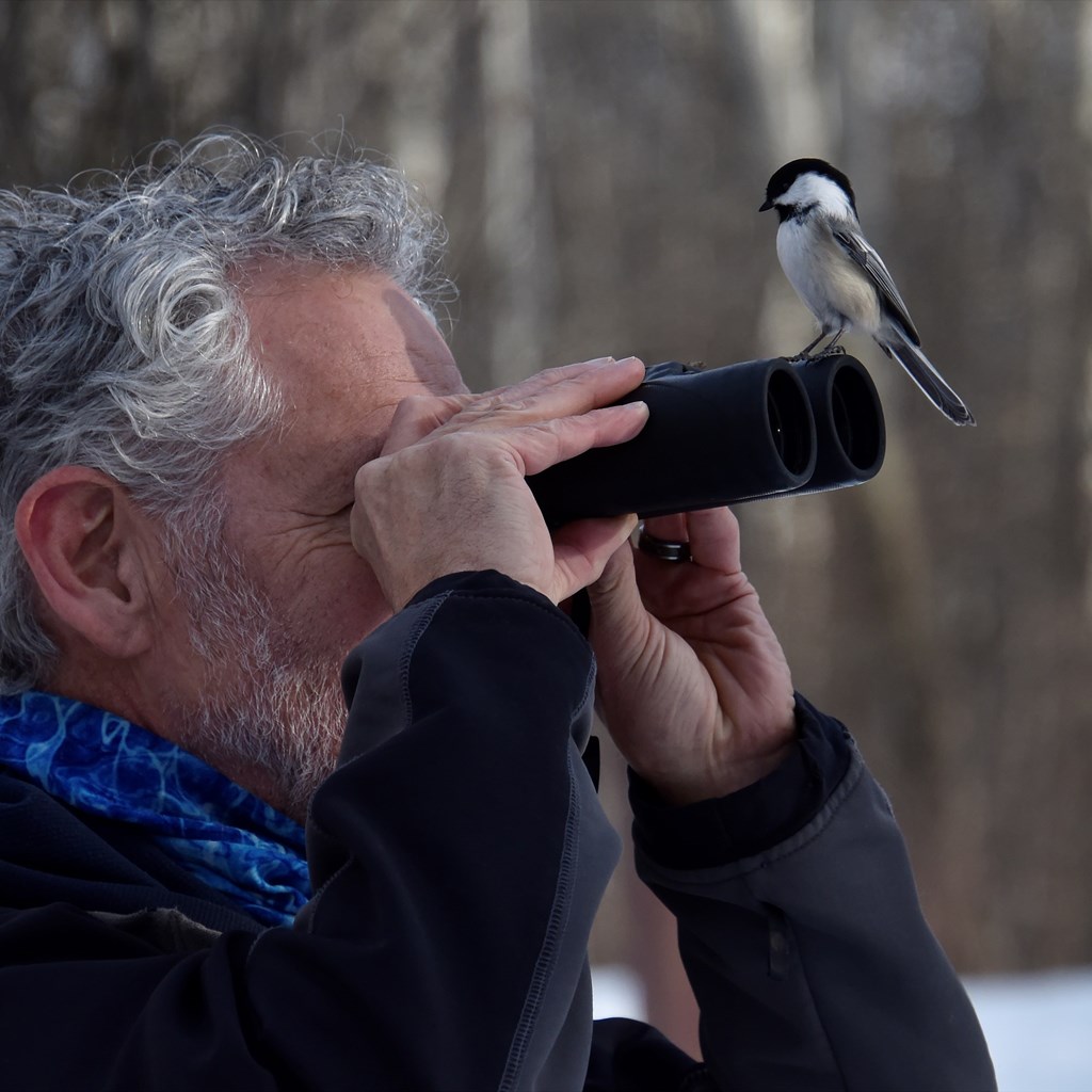 Birding in Beaver