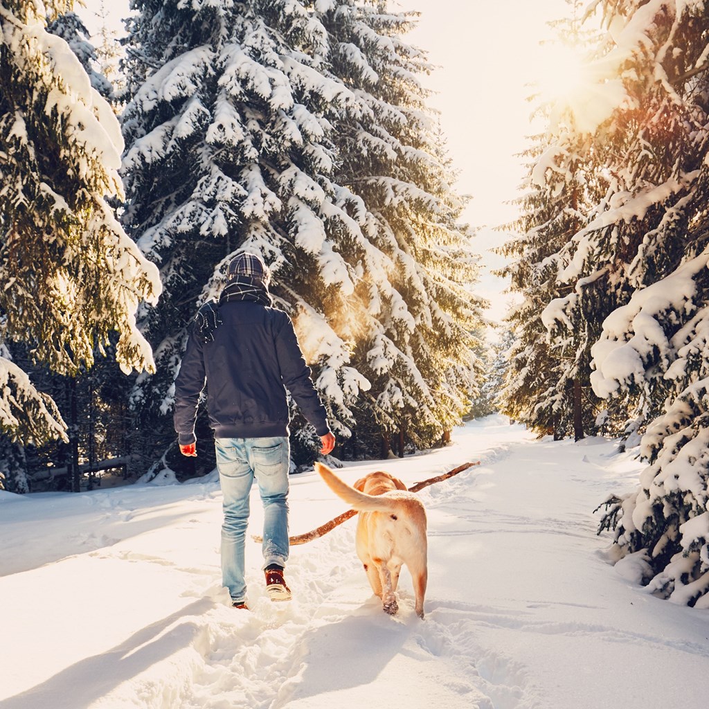 Winter Hiking Trails