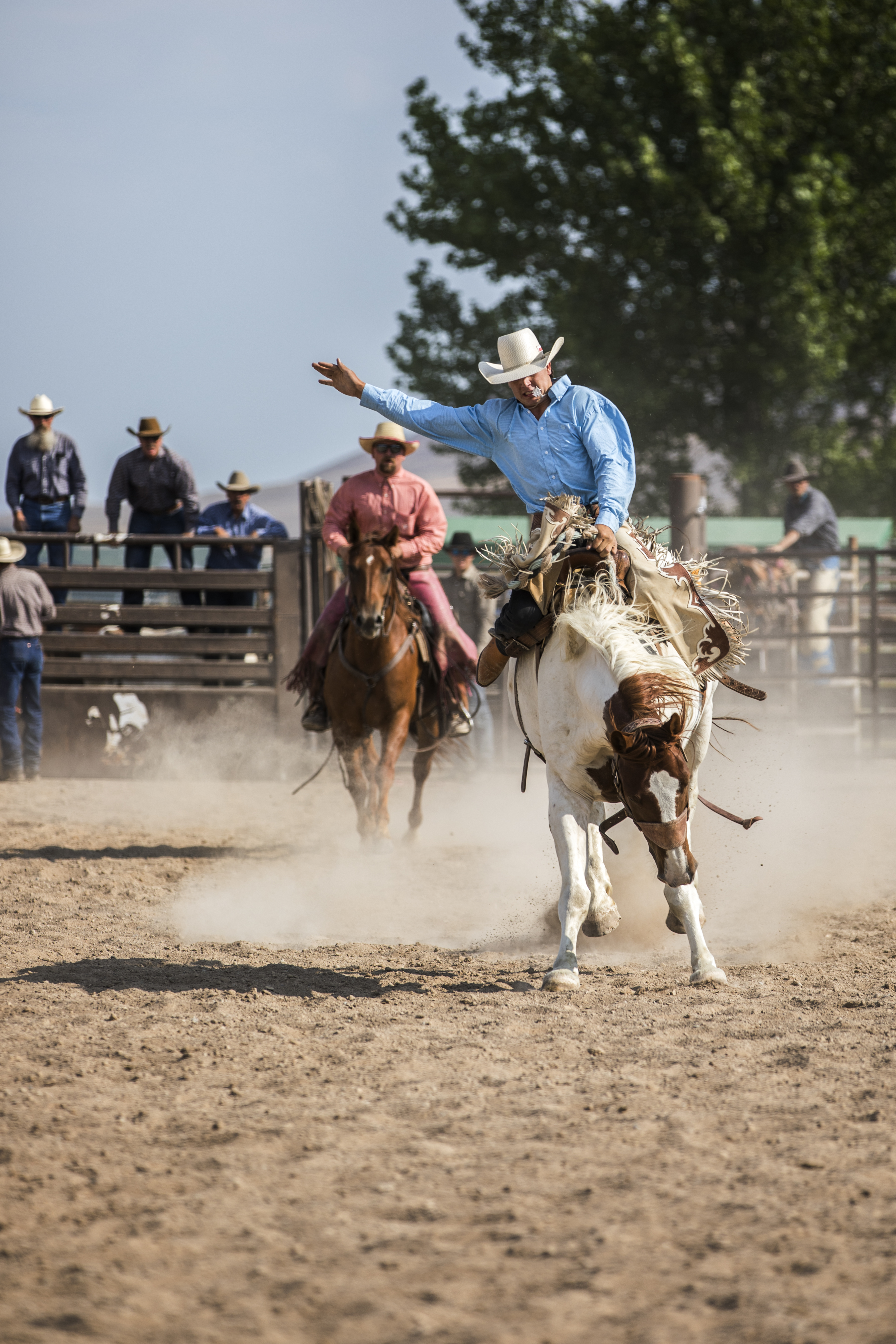 Pioneer Day Rodeo Photo