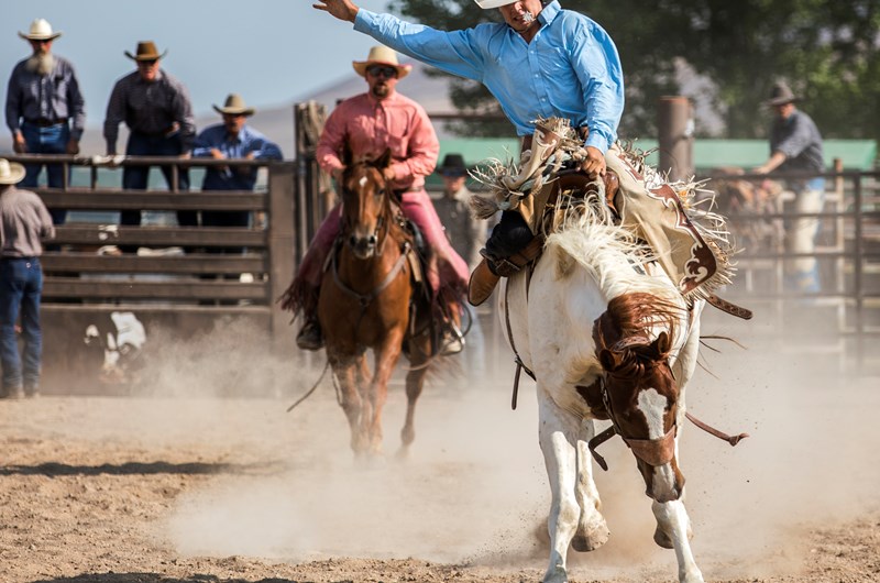 Pioneer Day Rodeo Photo