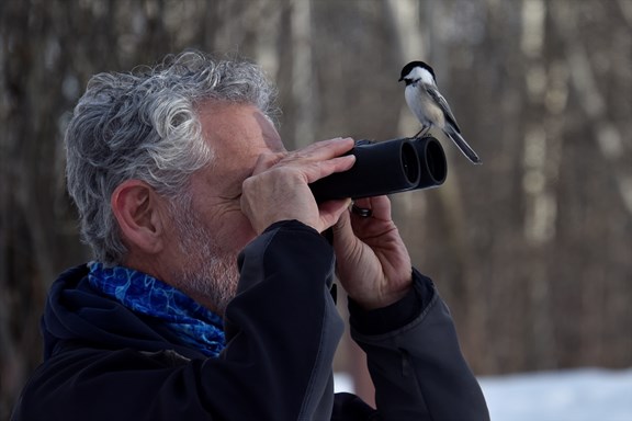 Birding in Beaver