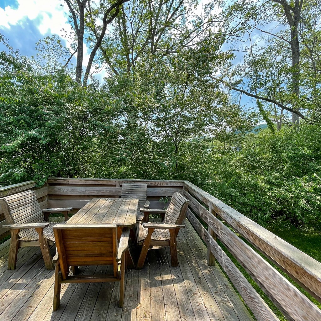 Best Hiking Trails Near Bellefonte, PA