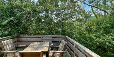 Best Hiking Trails Near Bellefonte, PA