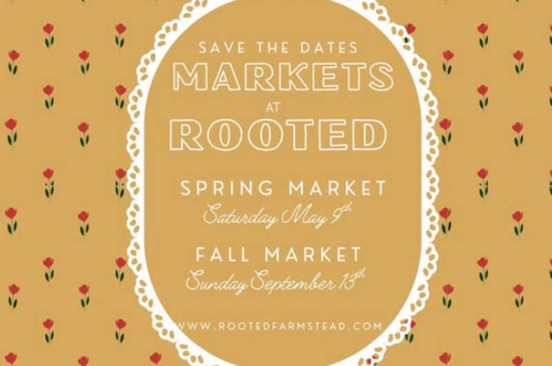 Rooted Farmstead 5th Annual Fall Market Photo
