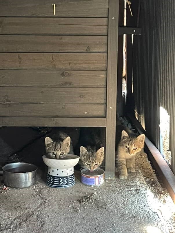 Have you seen us?