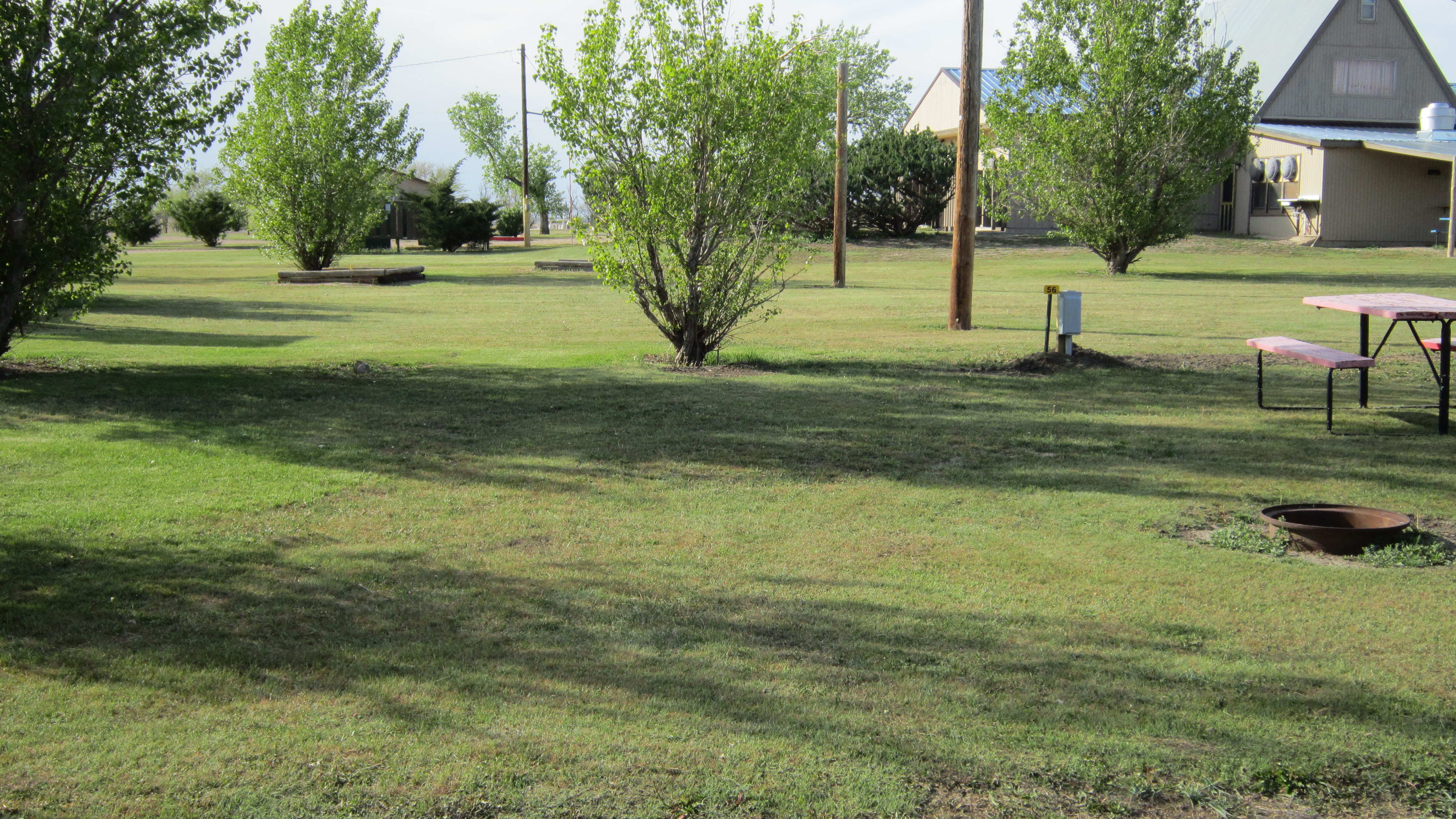 GRASSY TENT AREA W/ ELECTRICITY