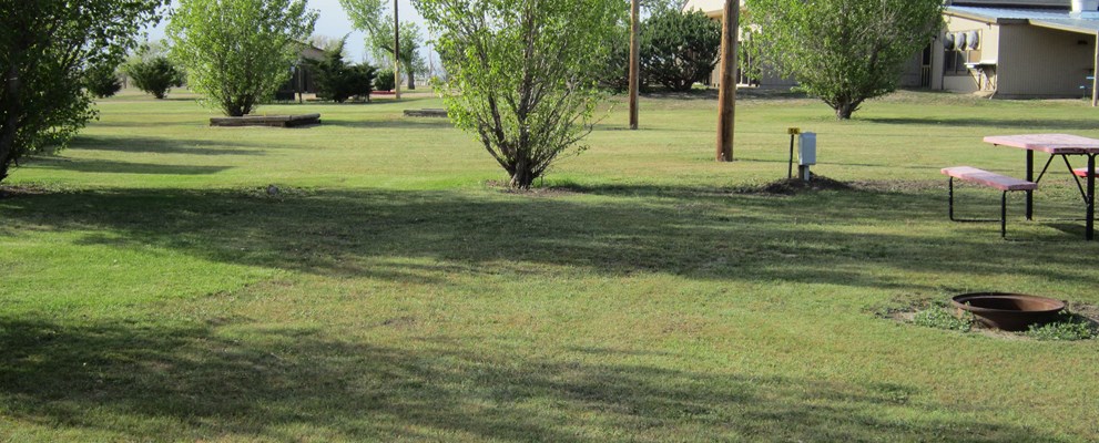 GRASSY TENT AREA W/ ELECTRICITY