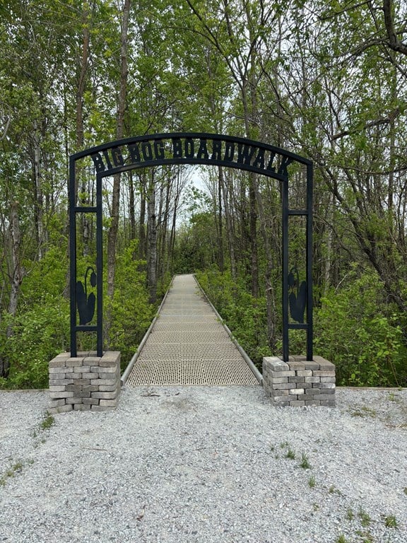 Big Bog State Recreation Area