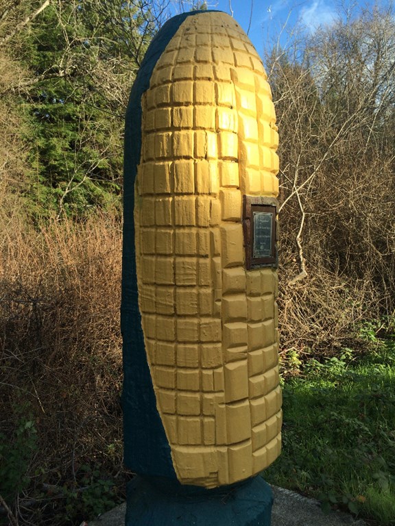 Pepperwood Corn Cob!