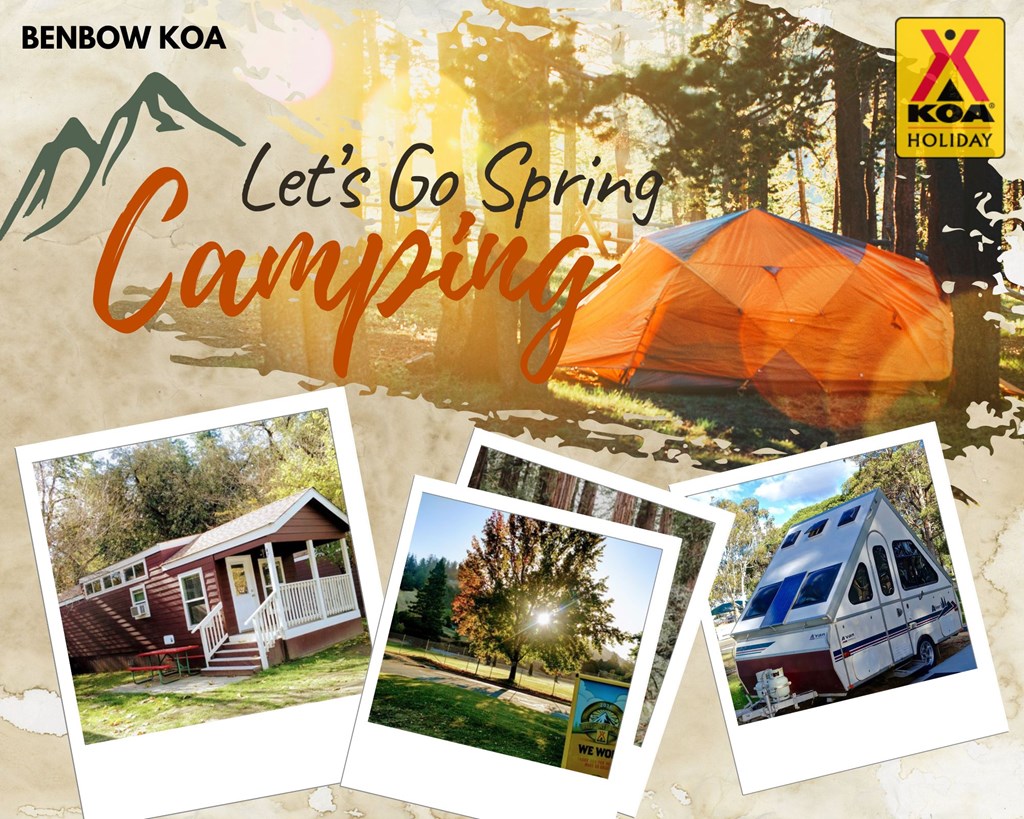 Exploring Spring Delights in Humboldt County