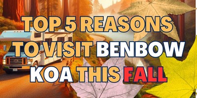 Top 5 Reasons to Visit Benbow KOA This Fall