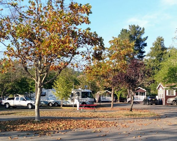 Fall at the Benbow KOA