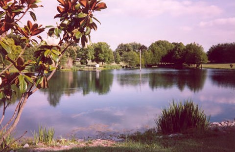 The Pond