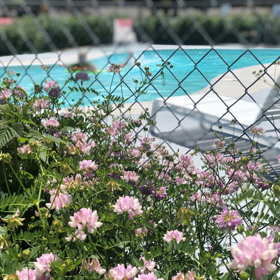 Heated Swimming Pool