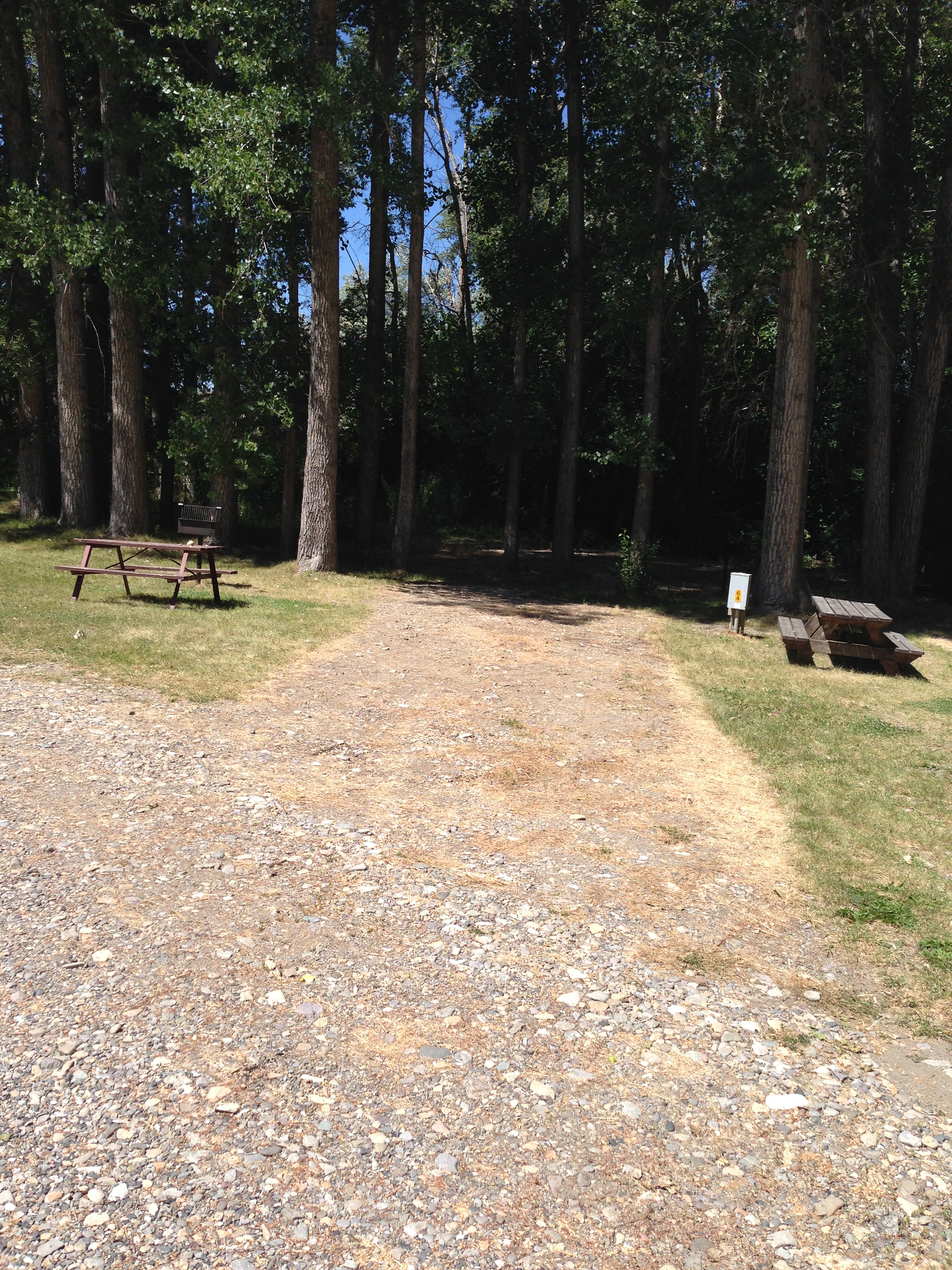 Nicely shaded back in RV sites.