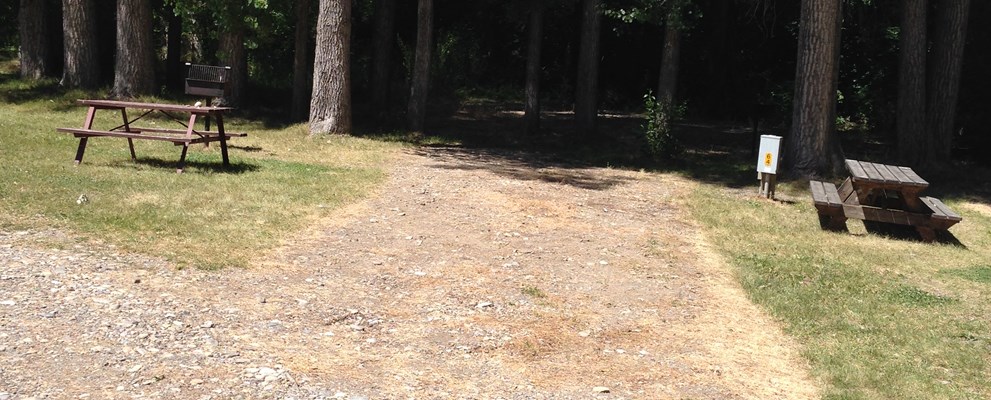 Nicely shaded back in RV sites.