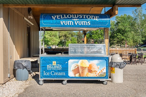 Ice Cream Cart