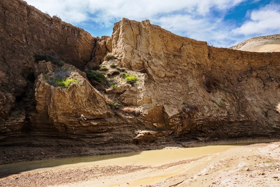 Bighorn Canyon National Recreation Area/Yellowtail Dam