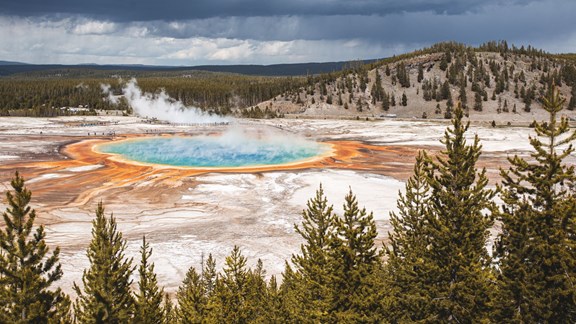 Yellowstone National Park (3 Hours Away)