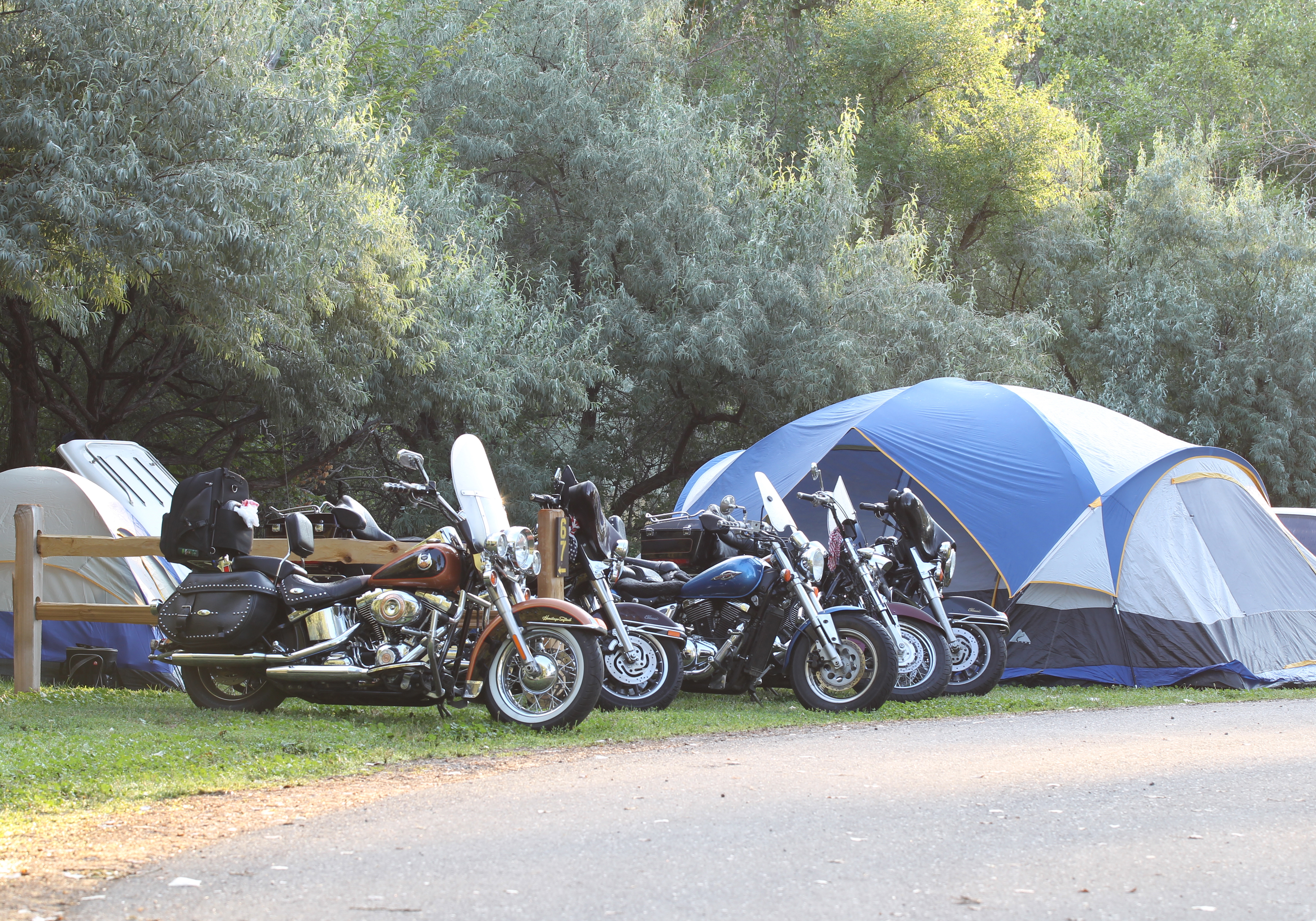 Quiet tent site along the edge of the Campground.