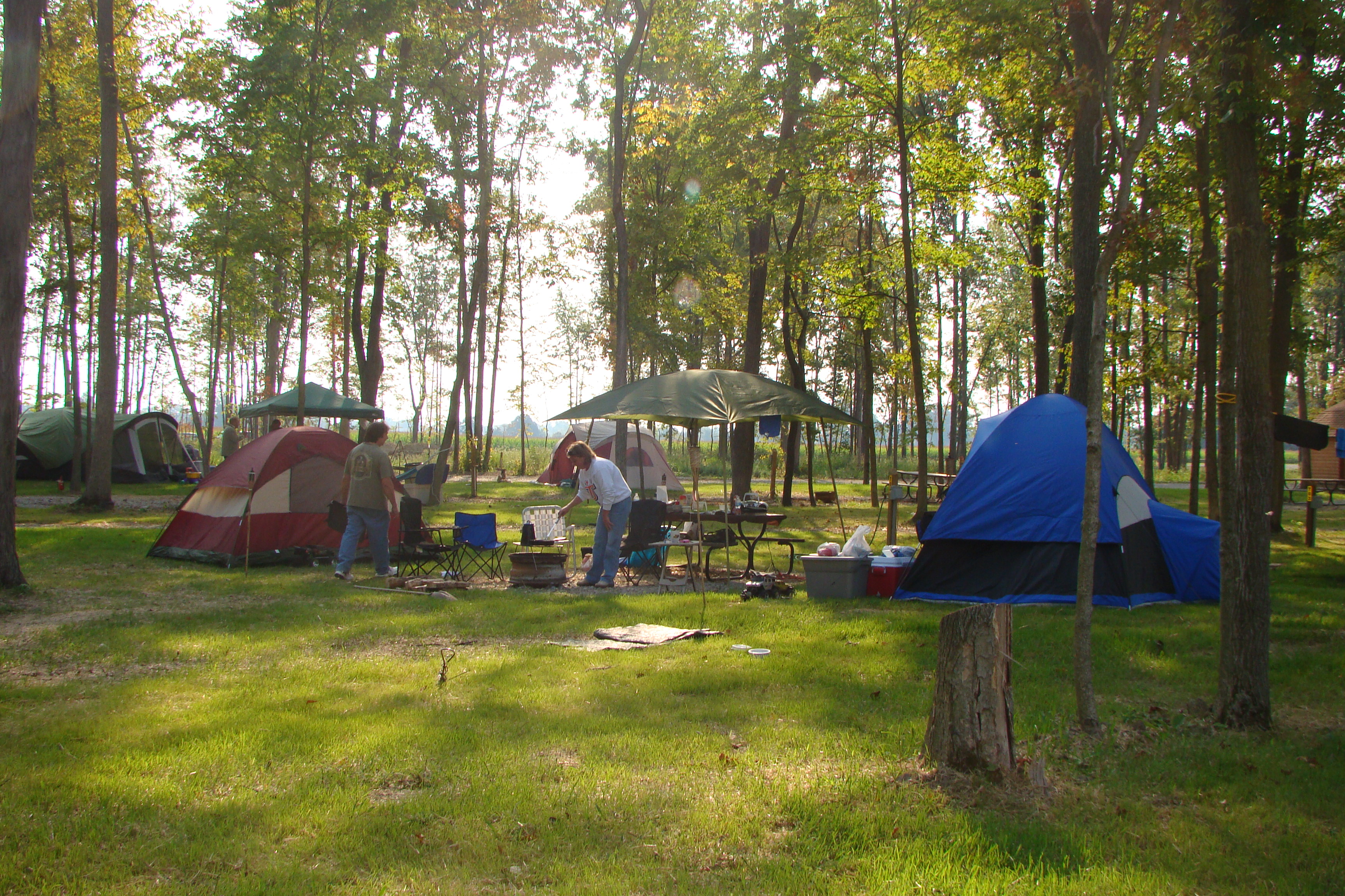 Shady spacious Tent sites are raised eliminating flooding