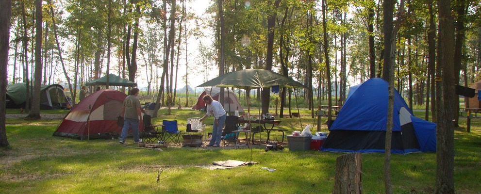 Shady spacious Tent sites are raised eliminating flooding