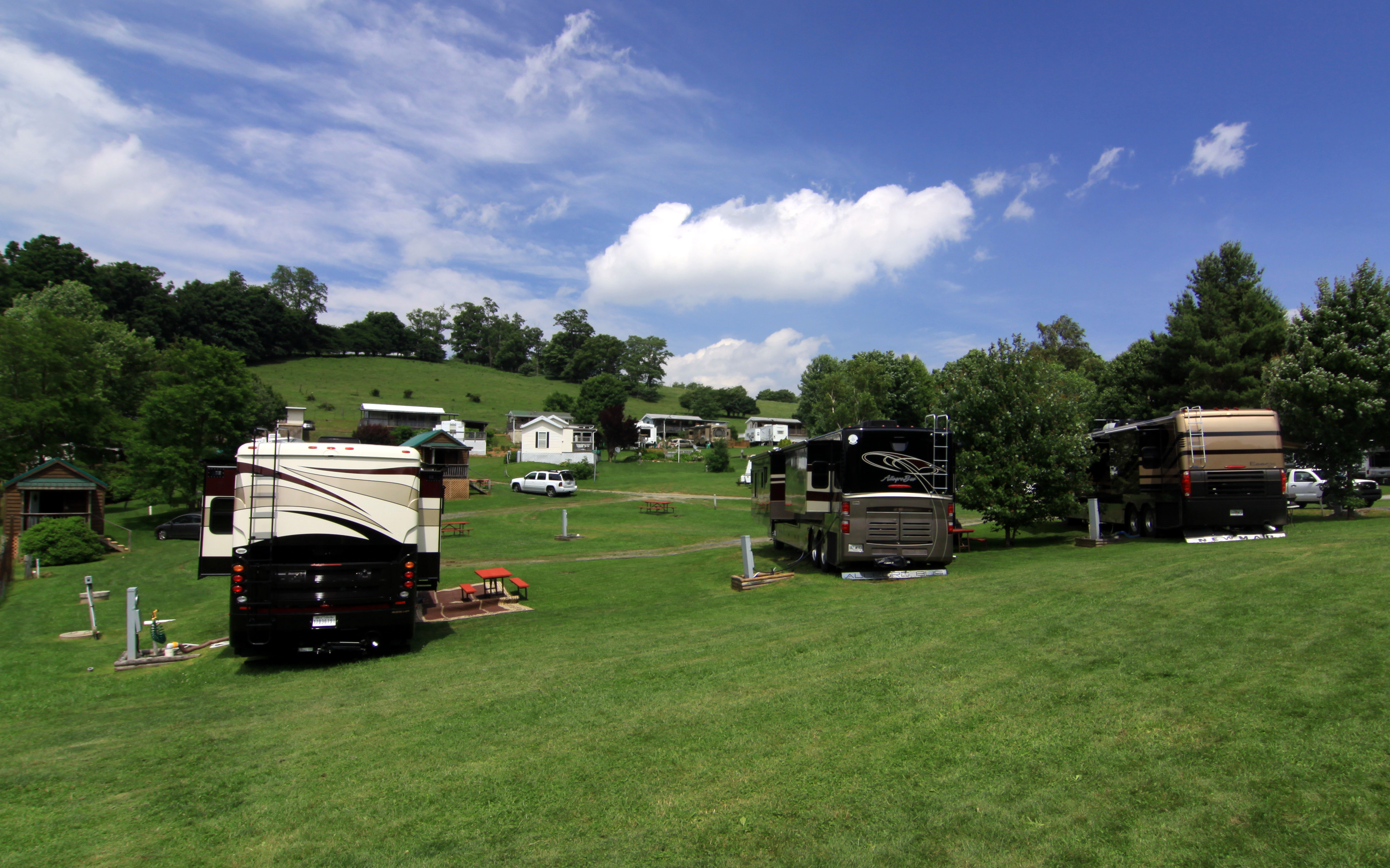 Large Grassy Back-in Sites