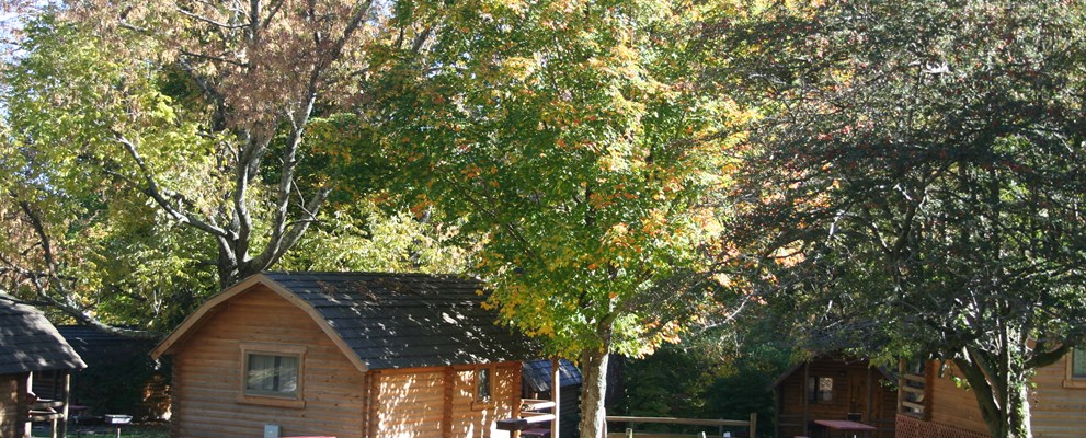 Kamping Cabin Outside