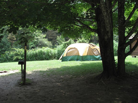 Shade on large tent site