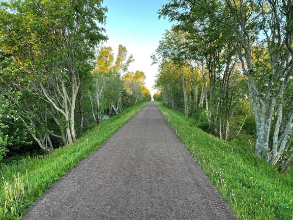 Walking, jogging, or ebiking
