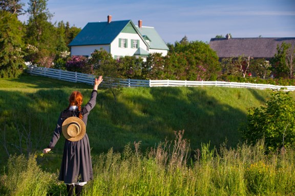 The Land of Ann