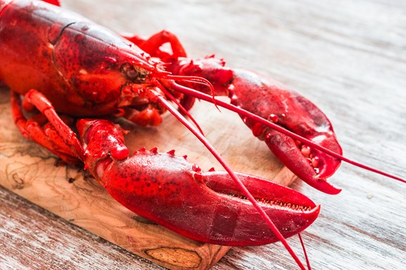Lobstering
