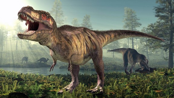 Dino Safari: A Walk-Thru Adventure