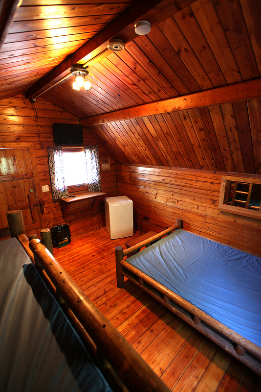 Don't worry about packing a cooler, this cabin comes with a mini-fridge.