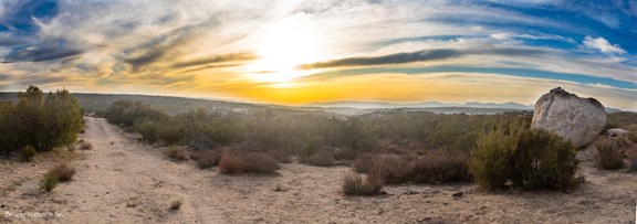 Scenic Hiking Trails