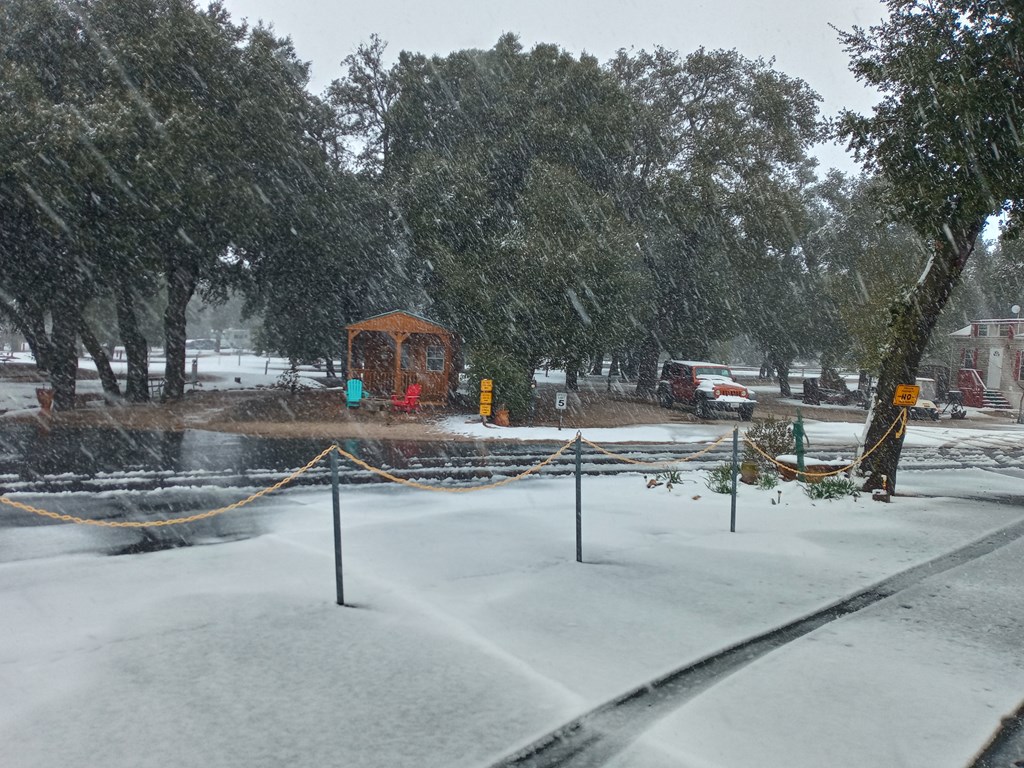 BOULEVARD KOA SNOW