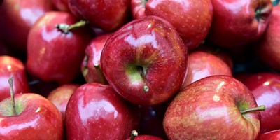 Julian Apple Season - Apple Picking & Fall Activities