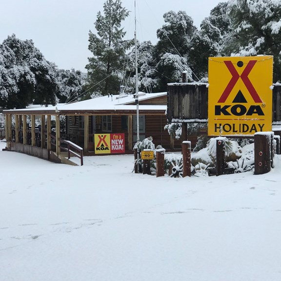 Snowy Front Cabin