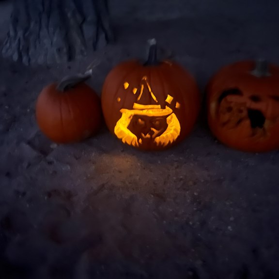 Pumpkin Carving Event at KOA Boulevard!